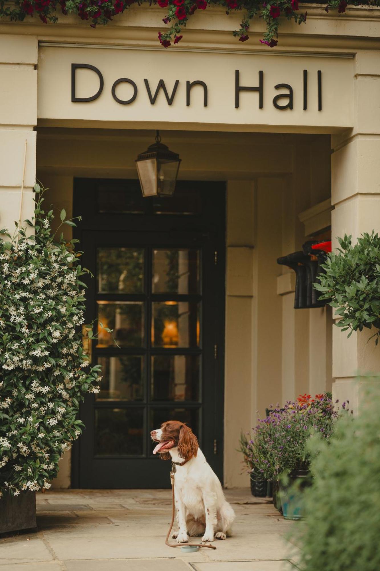 Down Hall Hotel Hatfield Heath Ngoại thất bức ảnh